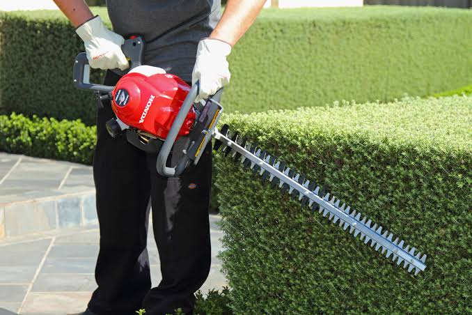 Mowing, hedge trimming, weeding, tidy up. Beloved Garden | 5 Glenhope Rd, West Pennant Hills NSW 2125, Australia | Phone: 0416 097 800