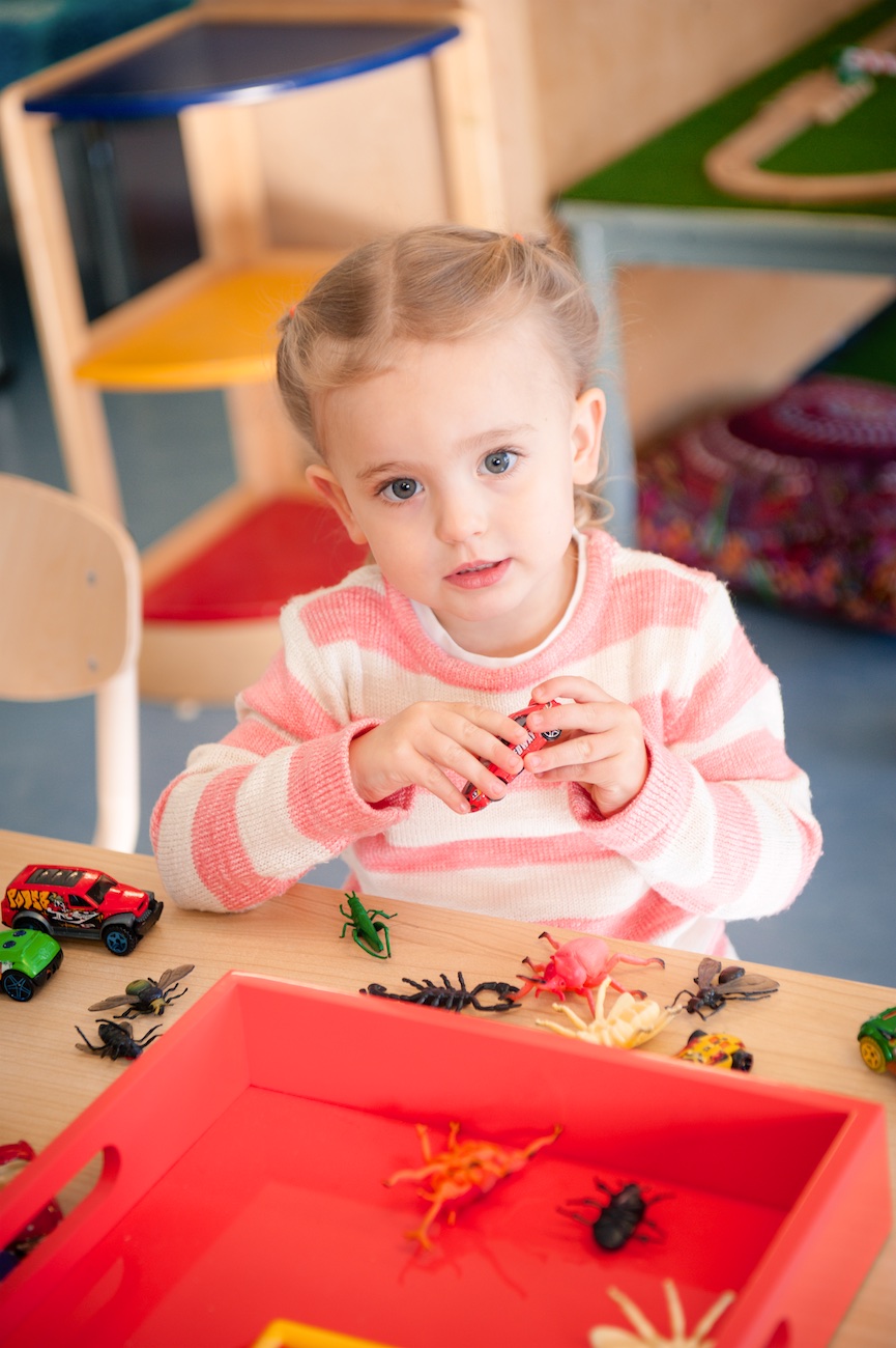 Goodstart Early Learning - Sheidow Park | 1A Young St, Sheidow Park SA 5158, Australia | Phone: 1800 222 543