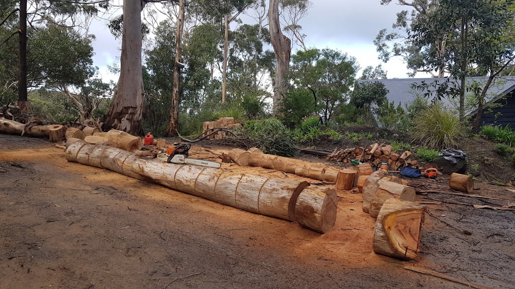 Tree watch firewood | general contractor | 1 Beaurepaire Dr, Lorne VIC 3232, Australia | 0429102925 OR +61 429 102 925