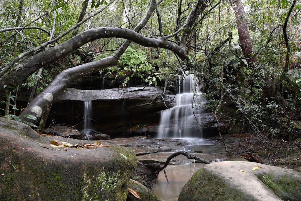 Somersby Falls picnic area | Somersby Falls Rd, Somersby NSW 2250, Australia | Phone: (02) 4320 4200