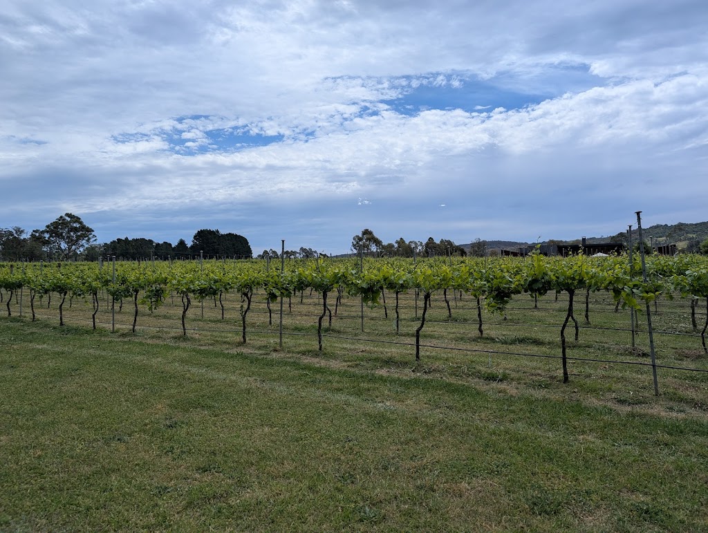 Berkelouw Book Barn | 3020 Old Hume Hwy, Berrima NSW 2577, Australia | Phone: (02) 4868 8788