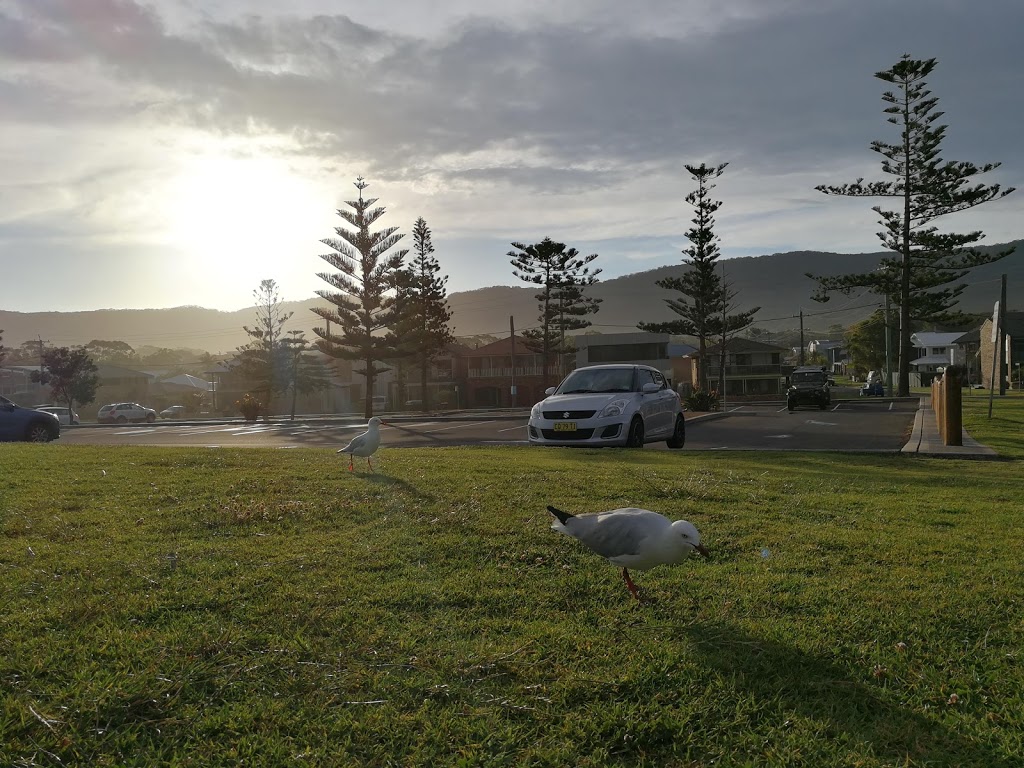 Sandon Point parkrun | health | Trinity Row, Bulli NSW 2516, Australia