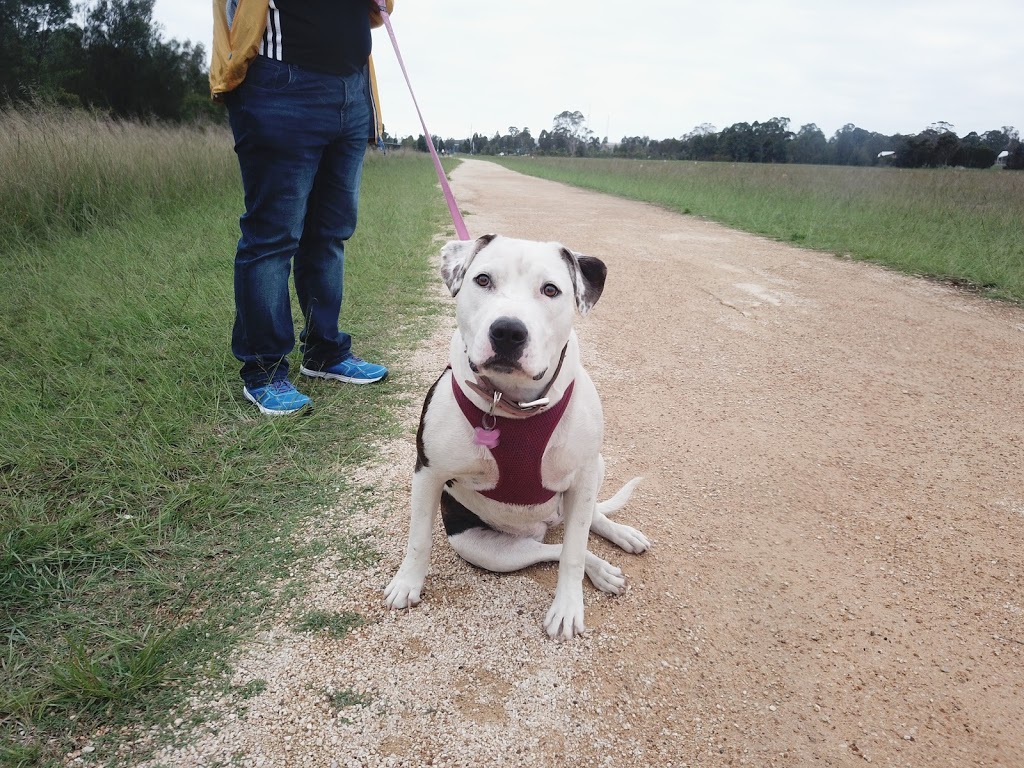 Warrigal Dog Run | park | LOT 10PT Doonside Rd, Arndell Park NSW 2148, Australia | 0298396000 OR +61 2 9839 6000