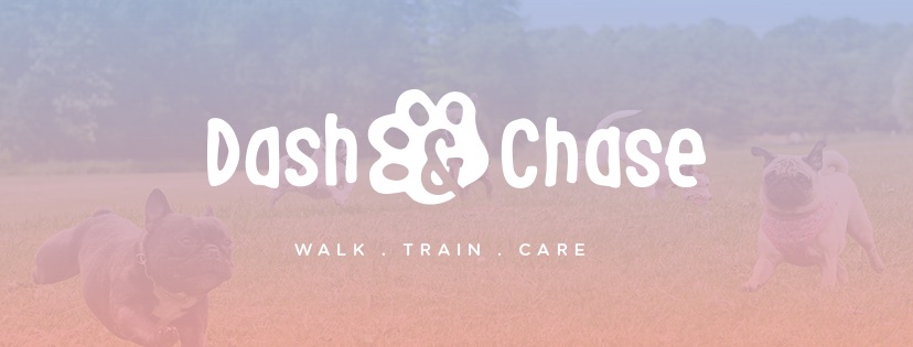 Dash & Chase | Pet Products & Service | 100 Lee and Clark Rd, Kemps Creek NSW 2178, Australia | Phone: 0403 000 031