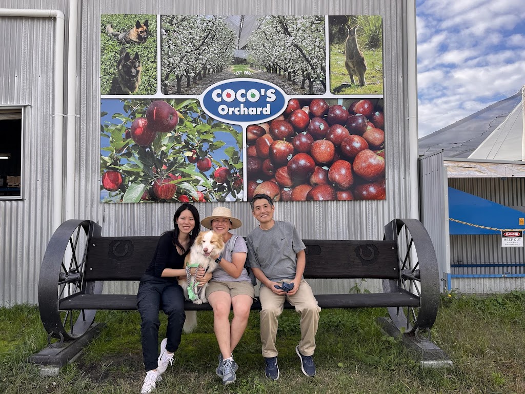 Cocos Orchard | 25742 New England Hwy, Applethorpe QLD 4378, Australia | Phone: 0438 812 078