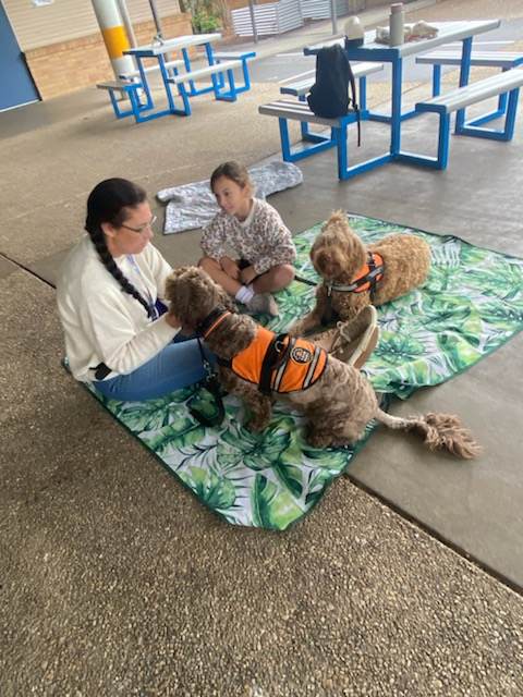 Fur Therapy Australia | Eucalyptus Dr, Banora Point NSW 2486, Australia | Phone: 0418 976 971