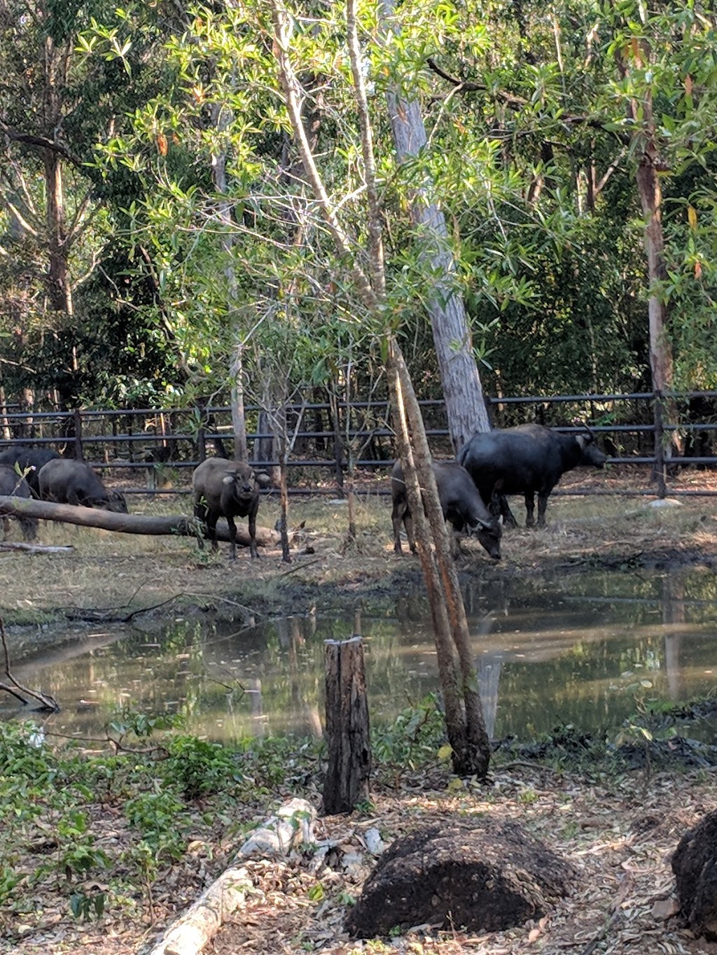 Territory Wildlife Park / Berry Springs Nature Park | park | Berry Springs NT 0838, Australia