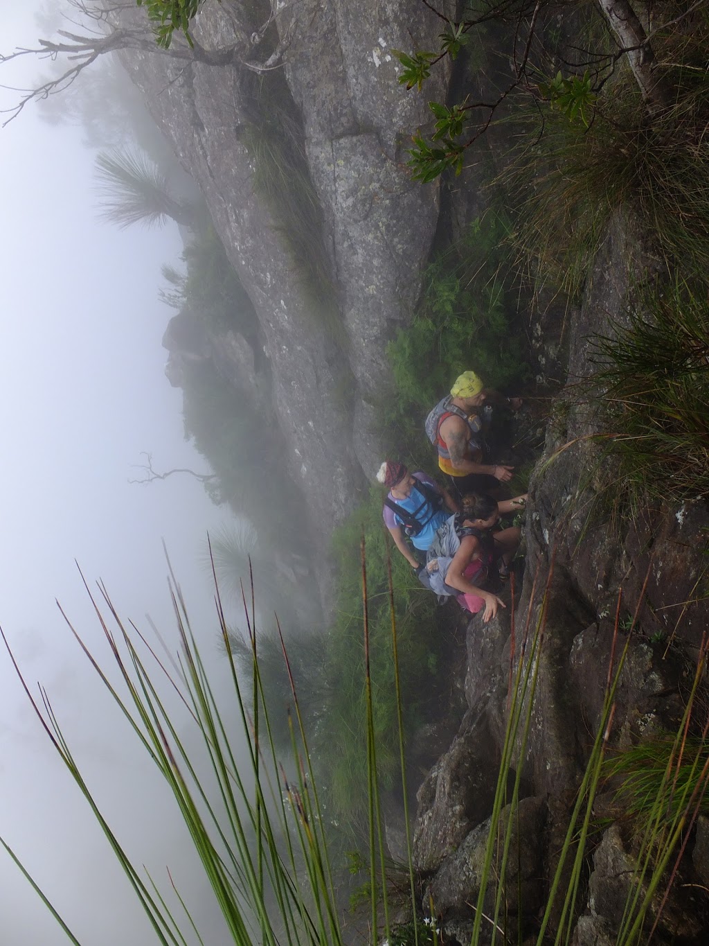 Southeast Ridge (Mt Barney) | park | Mount Barney QLD 4287, Australia