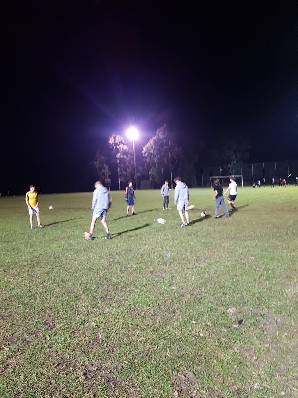 Potter Field | park | 146 Shepherd St, Colyton NSW 2760, Australia