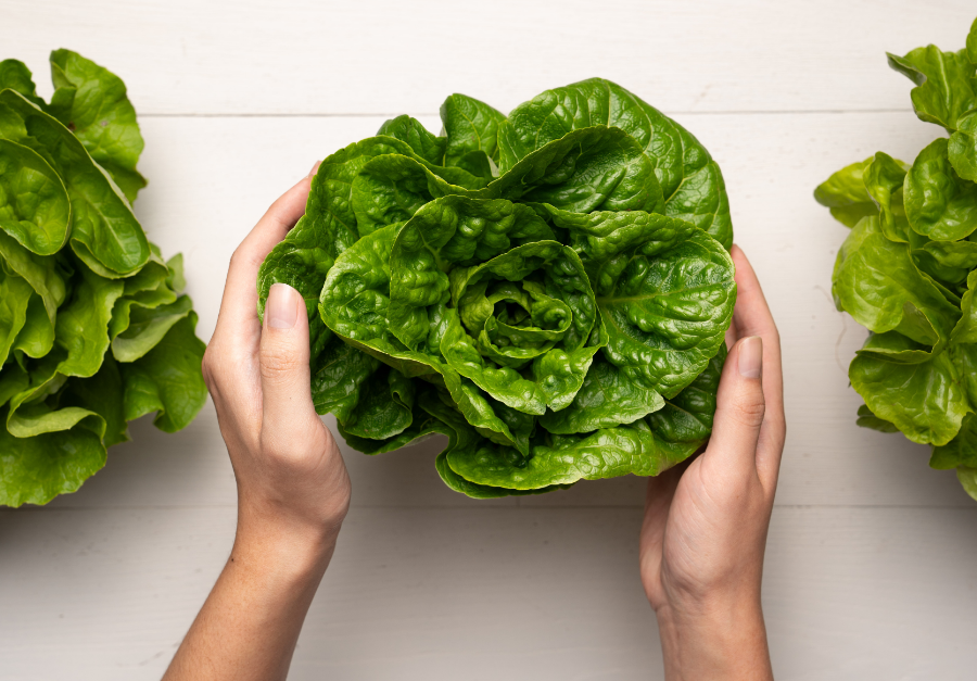 Windy Hills Farm NSW | 35 Sylvan Rd, Werombi NSW 2570, Australia | Phone: (02) 4653 2222