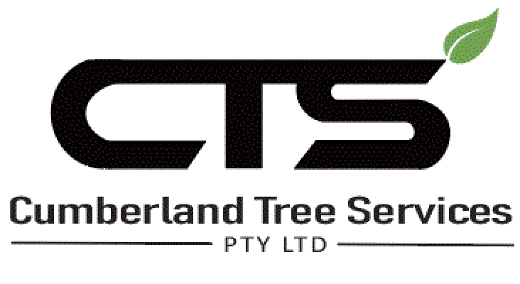 Cumberland Tree Services | 58 Edgar St, Auburn NSW 2144, Australia | Phone: 0406 020 499