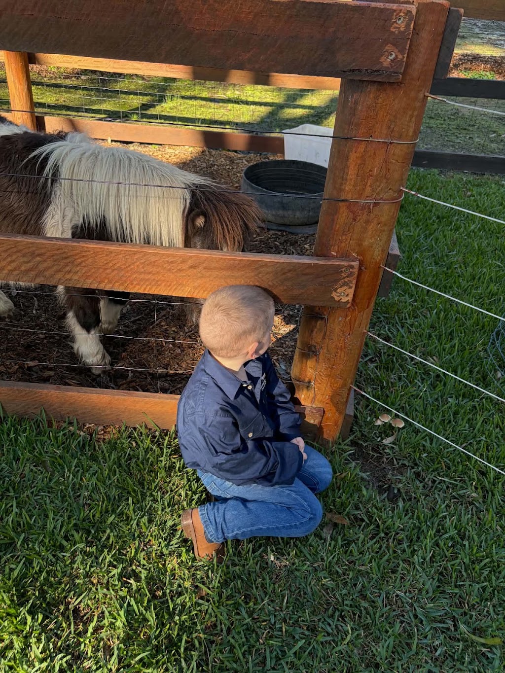 Harmony Thera Petz & Farm Stay | 13911 Pacific Hwy, Nabiac NSW 2312, Australia | Phone: 0422 851 014