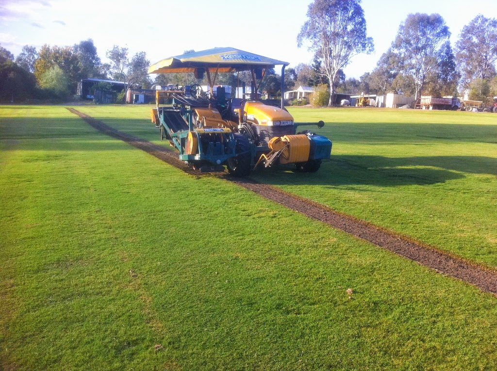 All Turf Solutions | 2125 Beaudesert Beenleigh Rd, Tamborine QLD 4270, Australia | Phone: (07) 5543 8304