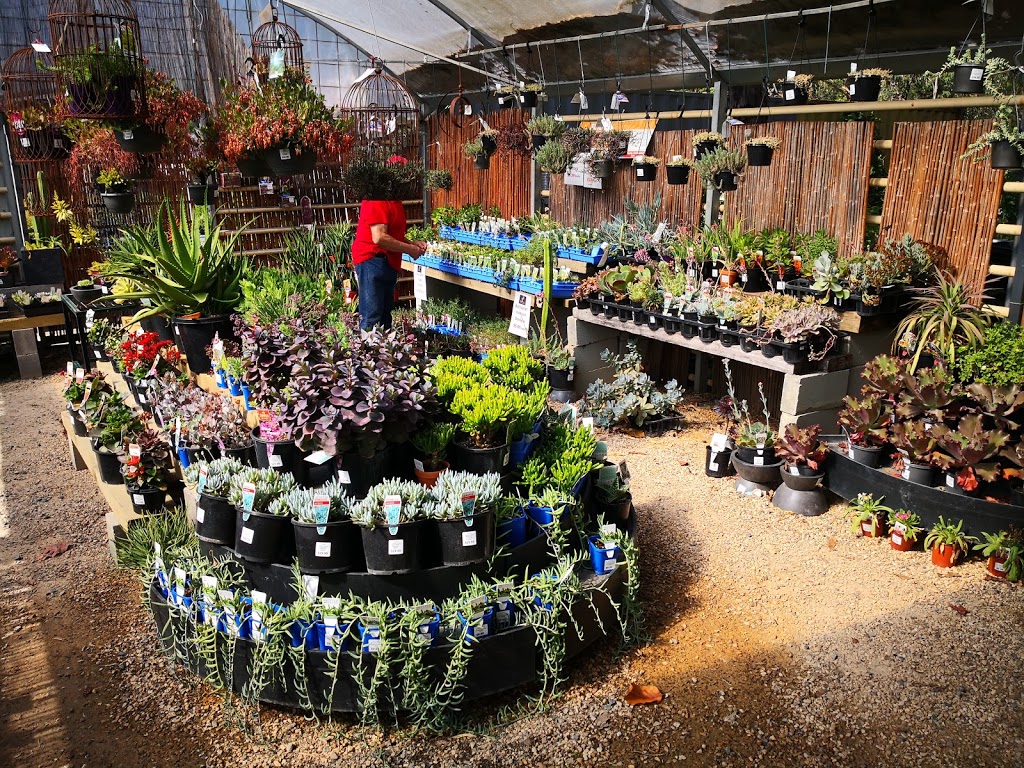 Yarra View Garden Centre | 136 York Rd, Mount Evelyn VIC 3796, Australia | Phone: (03) 9737 0400