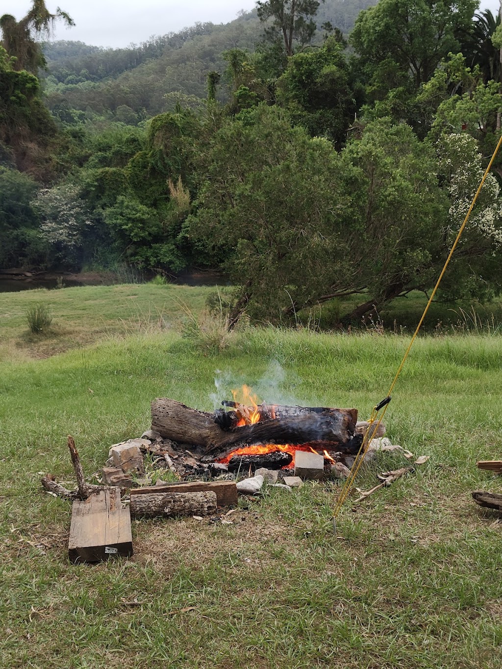 McKenzies Mountain | 675 Tyalgum Rd, Eungella NSW 2484, Australia | Phone: 0414 488 606