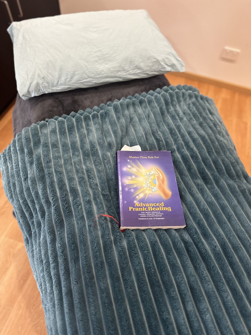 Prana Pranic Healing & Physiotherapy | The Healing Space, 3 Lymington Rd, Cygnet TAS 7112, Australia | Phone: 0400 810 038