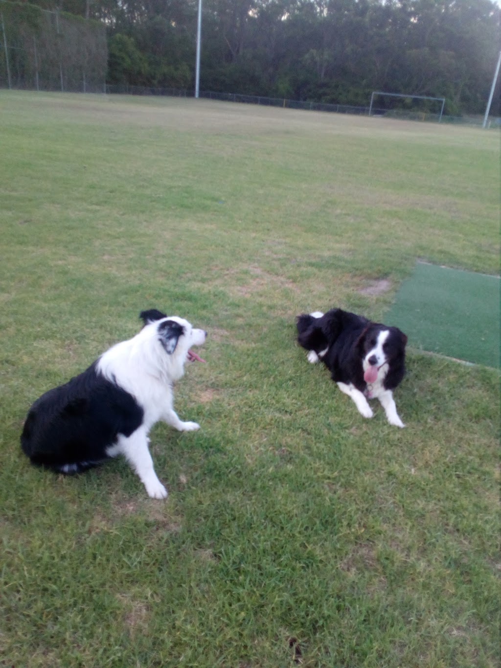 Morisset Dog Exercise Area | park | 67A Newcastle St, Morisset NSW 2264, Australia