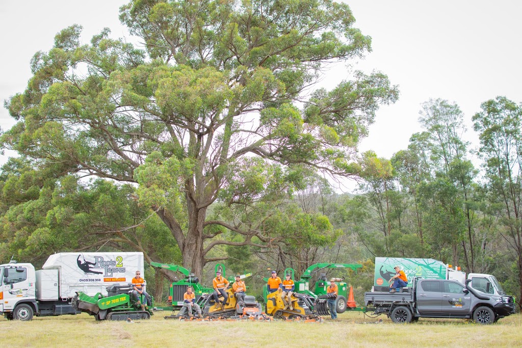 Roots 2 Leaves Tree Services Pty Ltd | Old Orbost Rd, Swan Reach VIC 3909, Australia | Phone: 0409 506 958