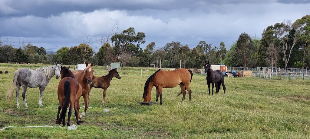 Archery Ascension | 385 Five Mile Rd, Pakenham South VIC 3810, Australia | Phone: 0406 064 050