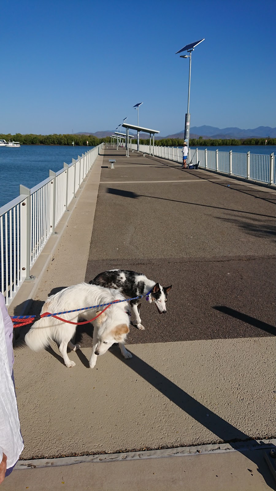 Townsville Recreational Boating Park | Fifth Ave, South Townsville QLD 4810, Australia