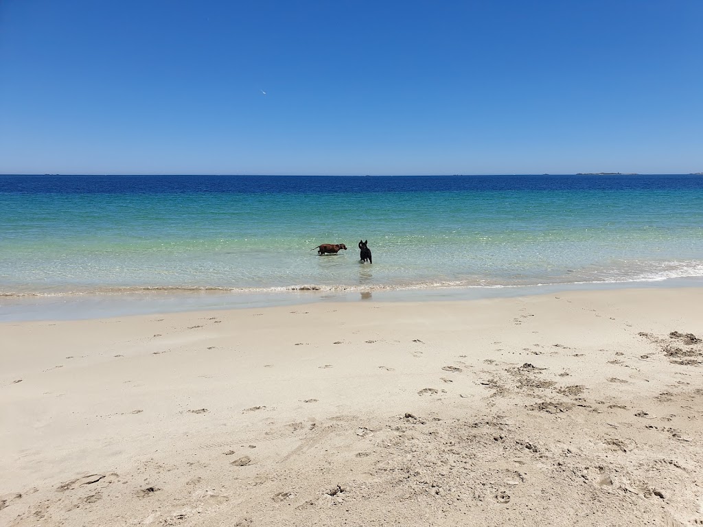 Warnbro Dog Beach | park | Unnamed Road, Warnbro WA 6169, Australia | 0895280333 OR +61 8 9528 0333