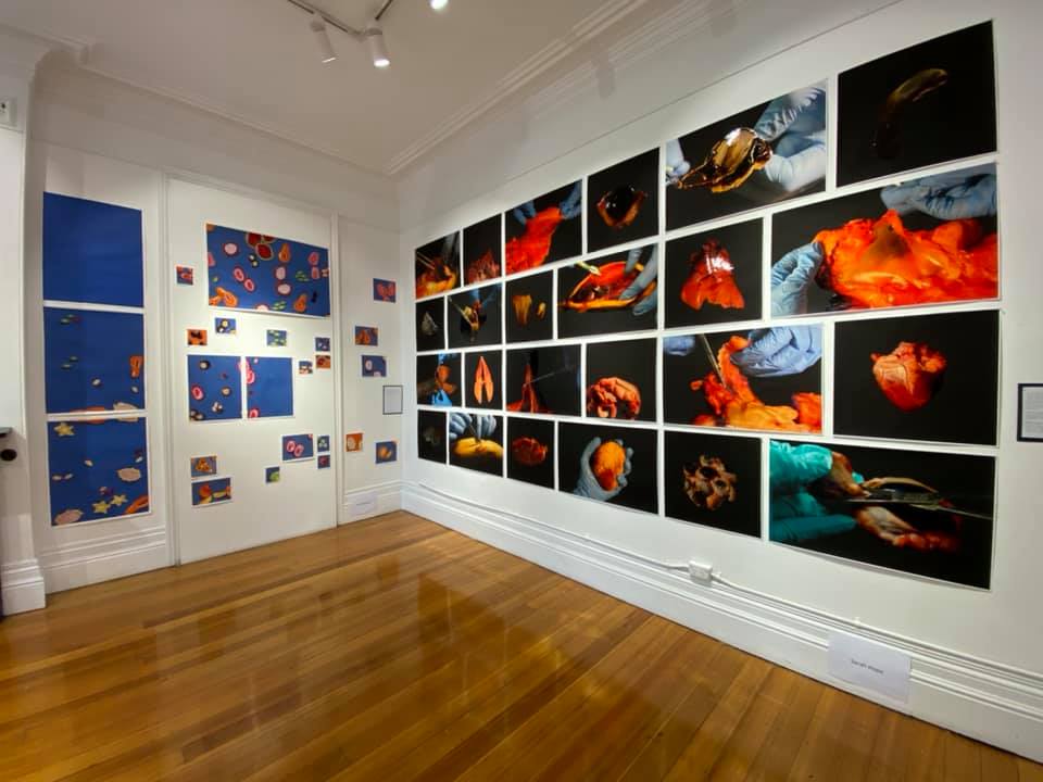 Poimena Art Gallery - Launceston Church Grammar School | art gallery | 36 Button St, Mowbray TAS 7248, Australia | 0363366039 OR +61 3 6336 6039