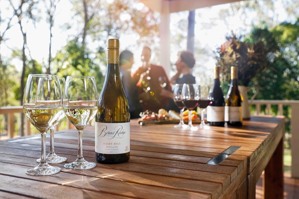 Briar Ridge Vineyard | 593 Mount View Rd, Mount View NSW 2325, Australia | Phone: (02) 4991 4988