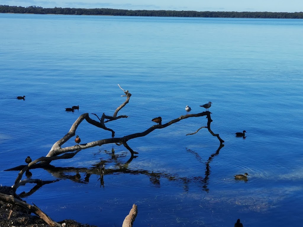 Sussex Inlet Marine Centre | Jacobs Dr, Sussex Inlet NSW 2540, Australia | Phone: 44412086