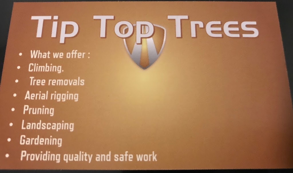 Tip Top Trees | Bli Bli QLD 4560, Australia | Phone: 0421 261 060