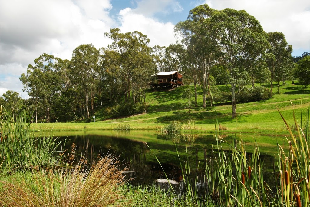 Cedars Mount View | lodging | 60 Mitchells Rd, Mount View NSW 2325, Australia | 0249909009 OR +61 2 4990 9009