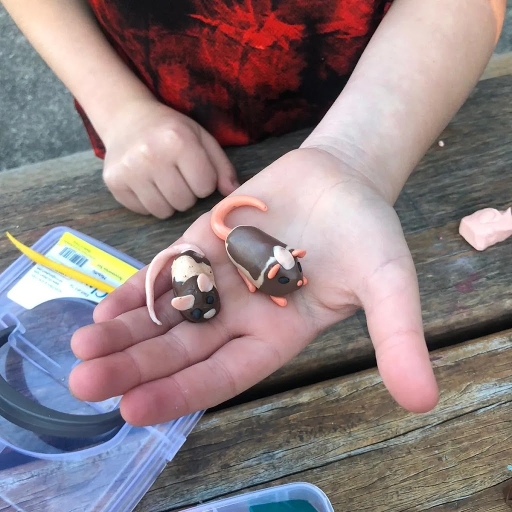 Sunnybank Therapies | 16 Chittaway Rd, Ourimbah NSW 2258, Australia | Phone: 0435 370 817