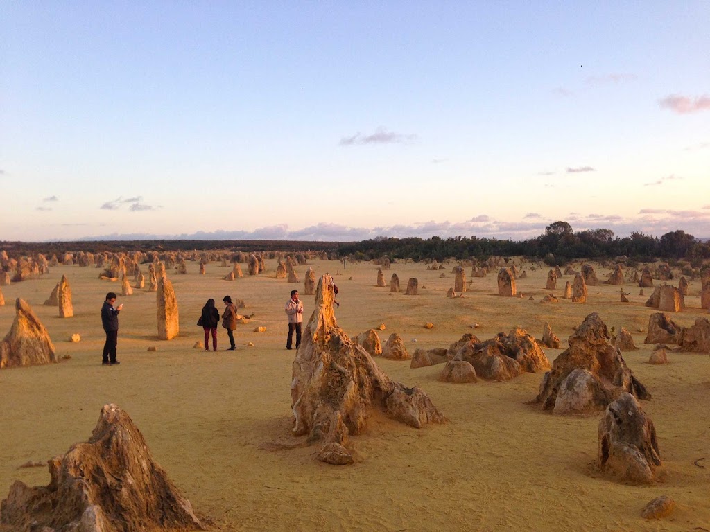 Jurien Bay Adventure Tours | Bashford St, Jurien Bay WA 6516, Australia | Phone: 1300 462 383