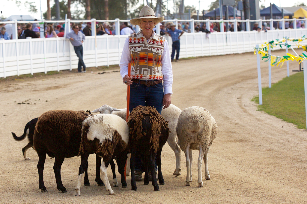 Gympie Show Society | 77 Exhibition Rd, Gympie QLD 4570, Australia | Phone: (07) 5482 1721