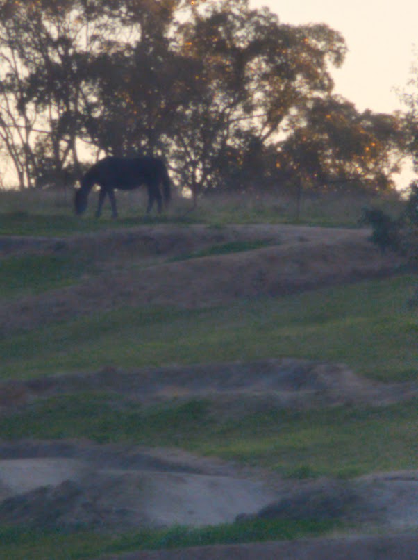 Giga Swamp | 330 Main Neerim Rd, Drouin West VIC 3818, Australia | Phone: 0456 297 461