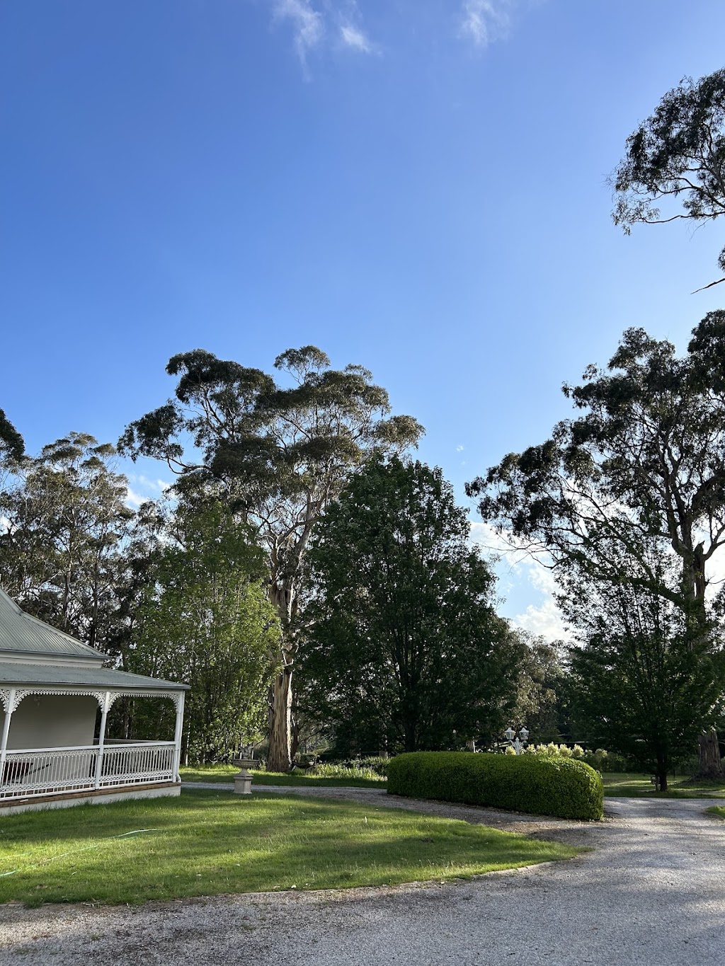 Talltrees Yoga Bowral | 3 Mansfield Rd, Bowral NSW 2576, Australia | Phone: 0432 847 778