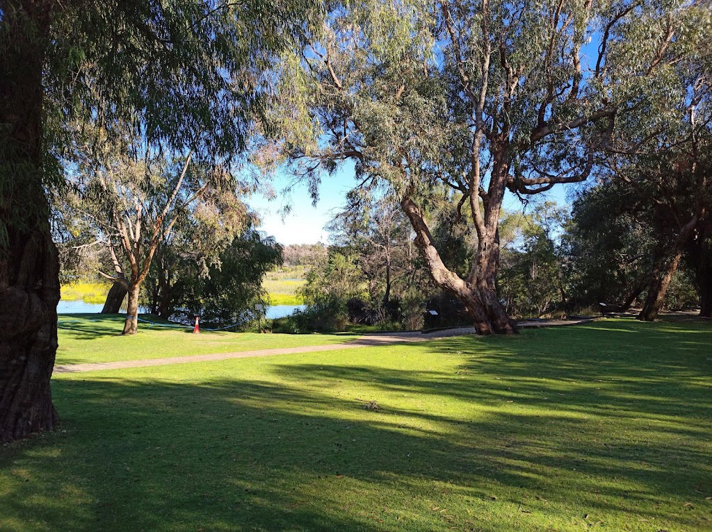 Yanchep Koala Boardwalk | tourist attraction | Yanchep WA 6035, Australia | 0893037759 OR +61 8 9303 7759