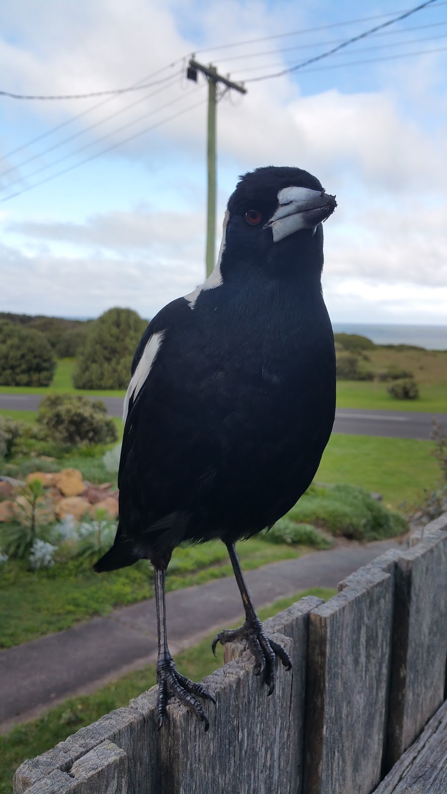 Foreshore Trust Grounds | Warrnambool VIC 3280, Australia