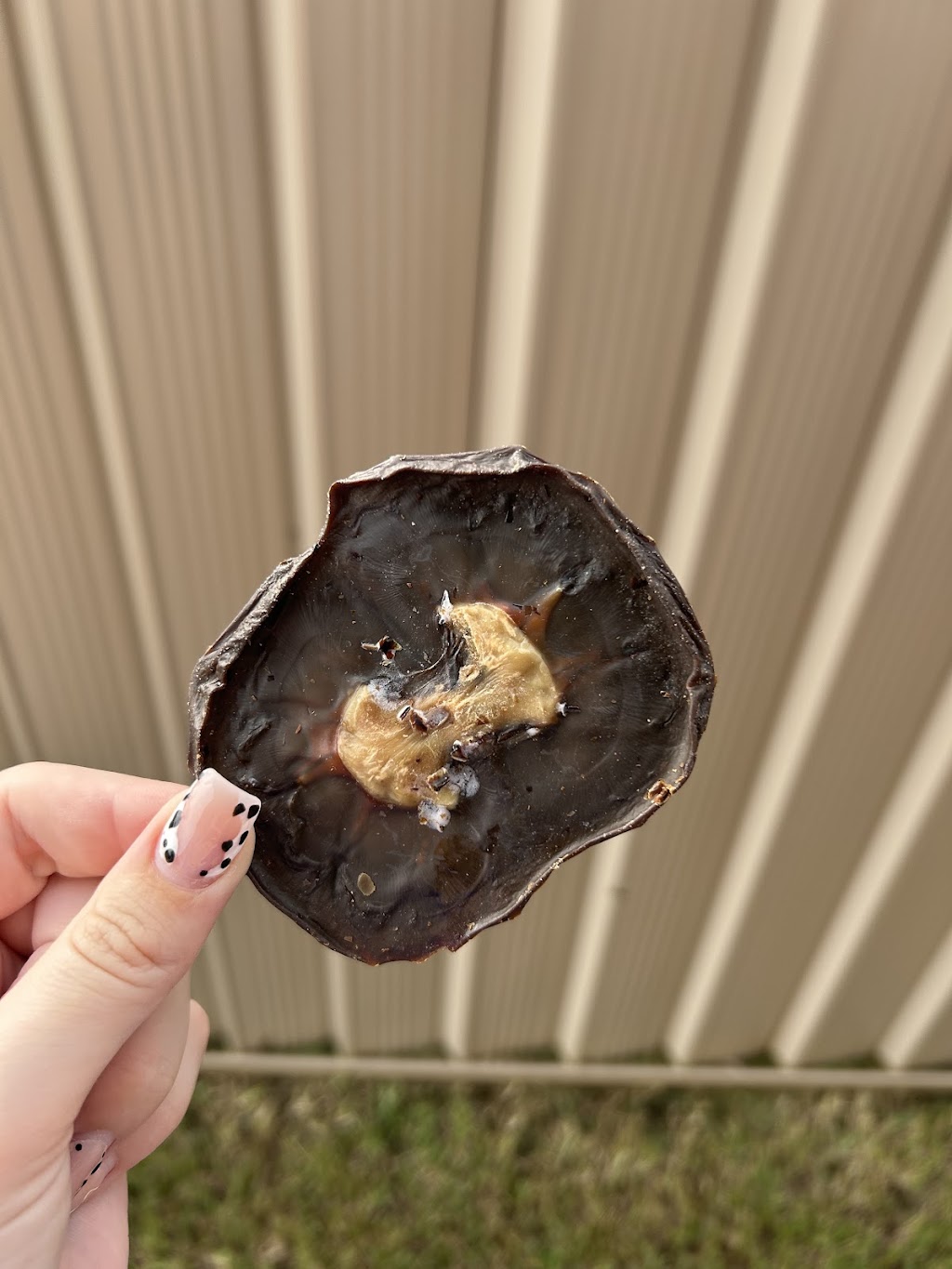 Charlie and the Treat Factory | 16 Coral Fern Way, Gwandalan NSW 2259, Australia | Phone: 0468 528 211