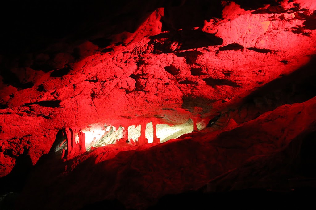 Capricorn Caves | tourist attraction | 30 Olsens Caves Rd, The Caves QLD 4702, Australia | 0749342883 OR +61 7 4934 2883