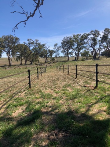 StockGuard Electric Fencing | 208 S Branch Rd, Maryvale QLD 4370, Australia | Phone: 0402 088 866