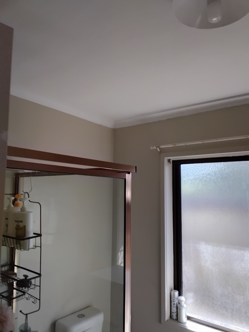 Dlc painting | 37 Janet St, Walloon QLD 4306, Australia | Phone: 0427 360 082