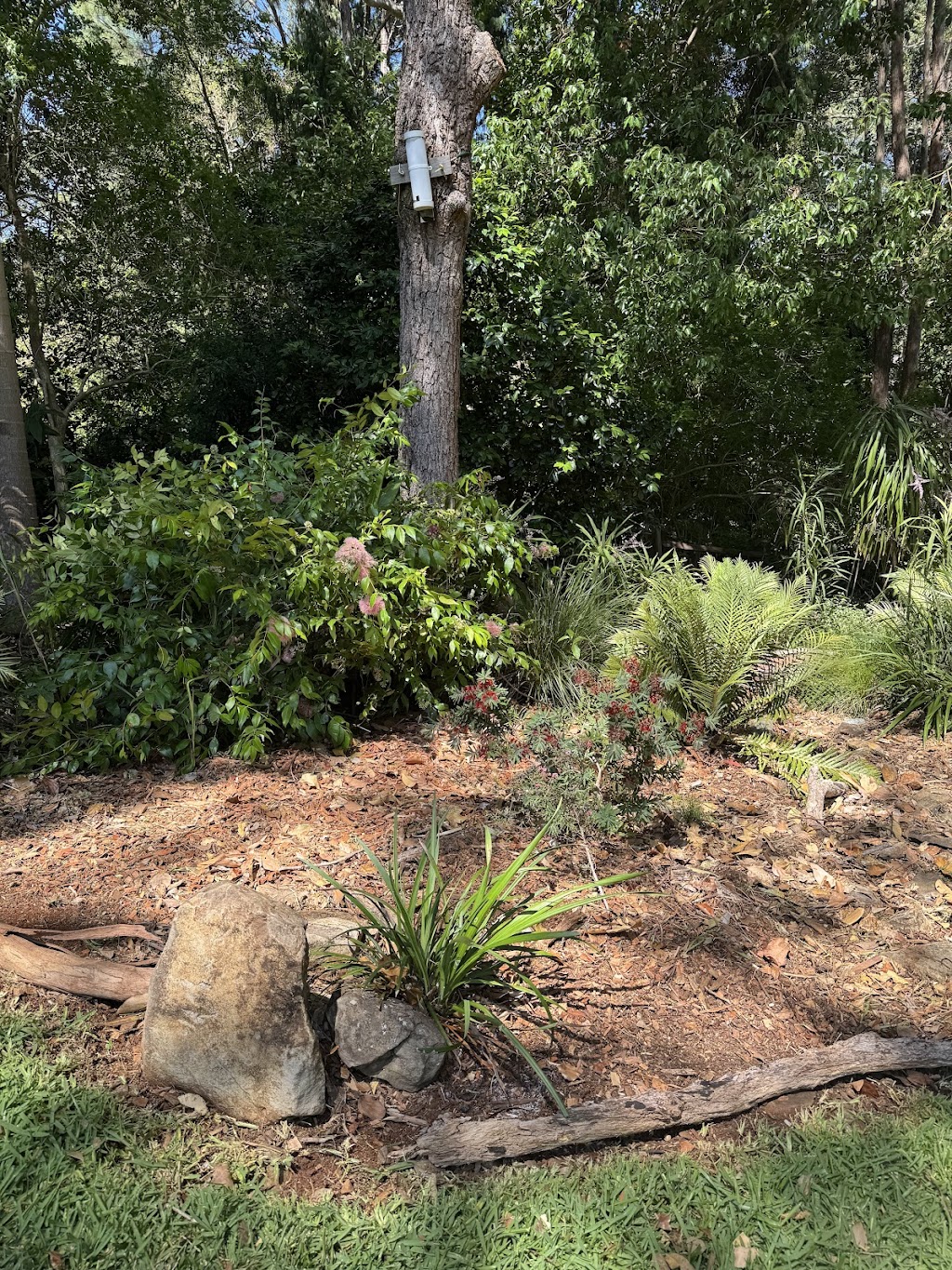 Viriditas Gardens | 1141A Main Arm Rd, Upper Main Arm NSW 2482, Australia | Phone: 0402 089 573