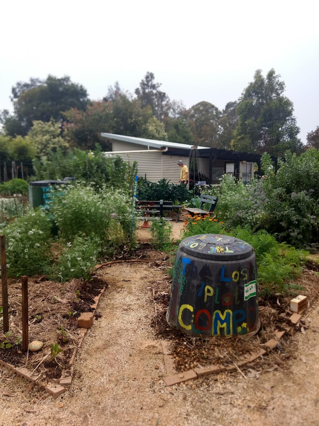 The Lost Plot Community Garden | park | Central Rd, Port Macquarie NSW 2444, Australia