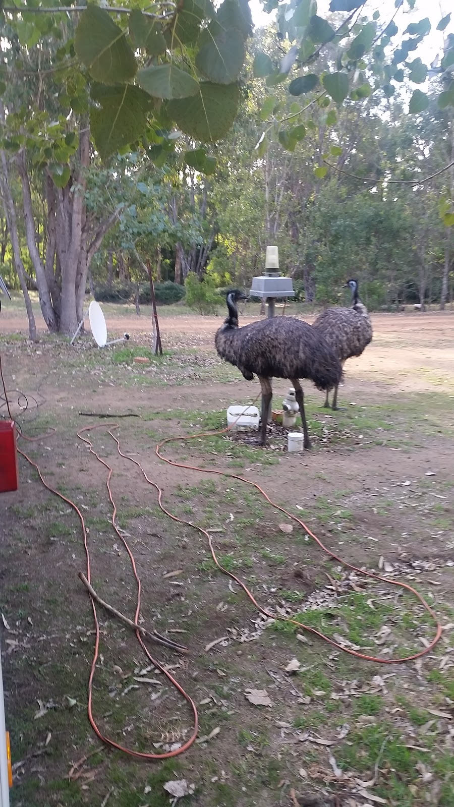 Quinninup Eco Tourist Park | park | 11 Wheatley Coast Rd, Quinninup WA 6258, Australia | 0897731329 OR +61 8 9773 1329