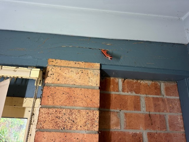 HJT Pest Control | 176 Cessnock Rd, Neath NSW 2326, Australia | Phone: 0474 587 323
