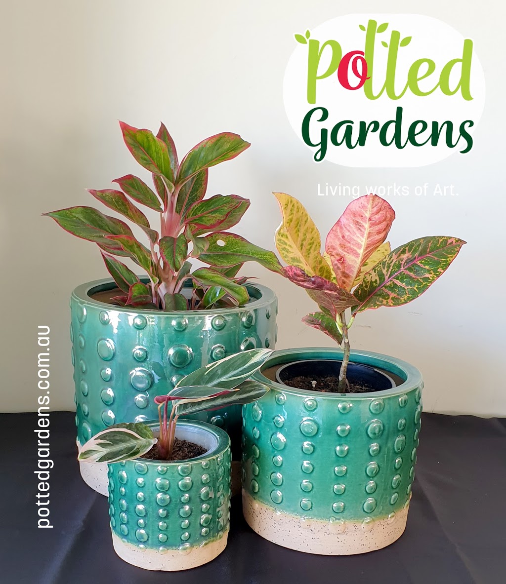 Potted Gardens | florist | 27 Elderflower Cct, Griffin QLD 4503, Australia | 0424640277 OR +61 424 640 277