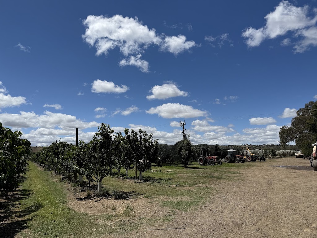 Dellios Orchards | 664 Bacchus Marsh Rd, Bacchus Marsh VIC 3340, Australia | Phone: (03) 5367 5297