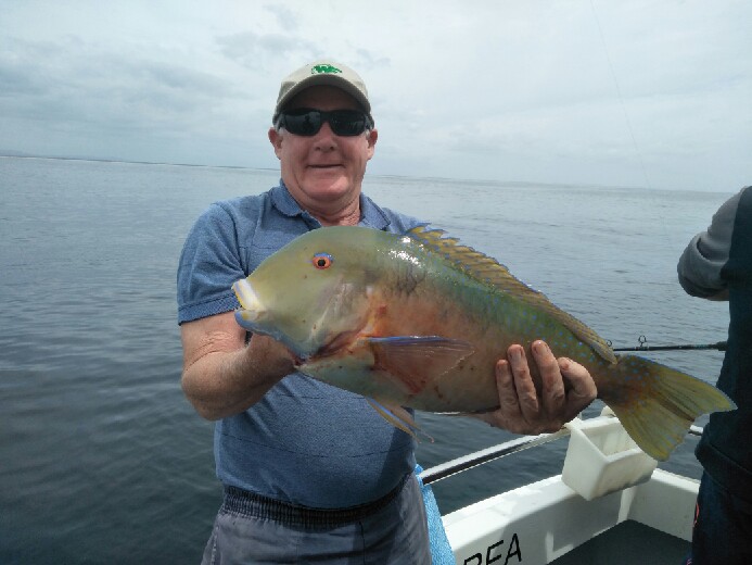 Brisbane fishing charters | Muriel Henchman Dr, Main Beach QLD 4217, Australia | Phone: (07) 5564 1037