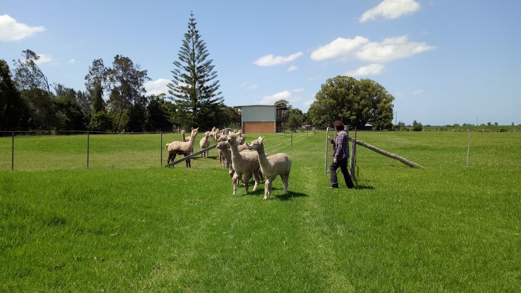 Cardiff Alpacas | 165 Nicholsons Ln, Harwood NSW 2465, Australia | Phone: (02) 6646 4377