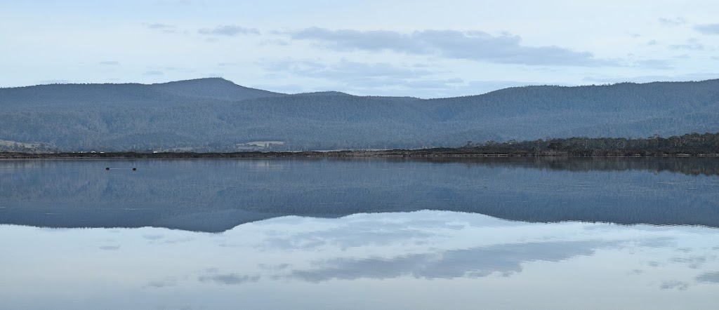 Moulting Lagoon Game Reserve | Tasmania, Australia